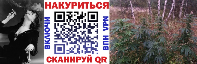 как найти   Афипский  Марихуана White Widow 